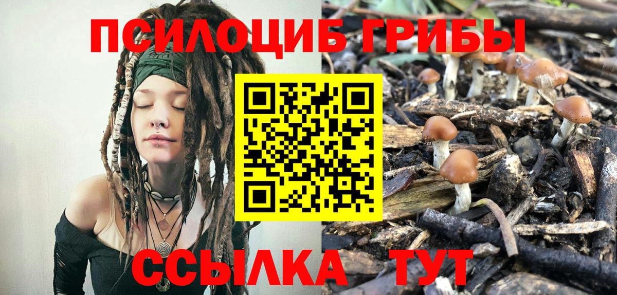 Галлюциногенные грибы Psilocybe  Галлюциногенные грибы прущие грибы  Вход с VPN  Радужный 